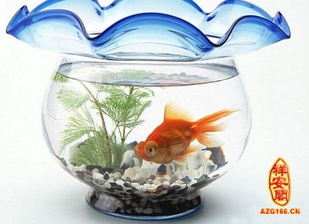 http://www.azg168.cn/jiajufengshui/2012-02-07/home48165.html